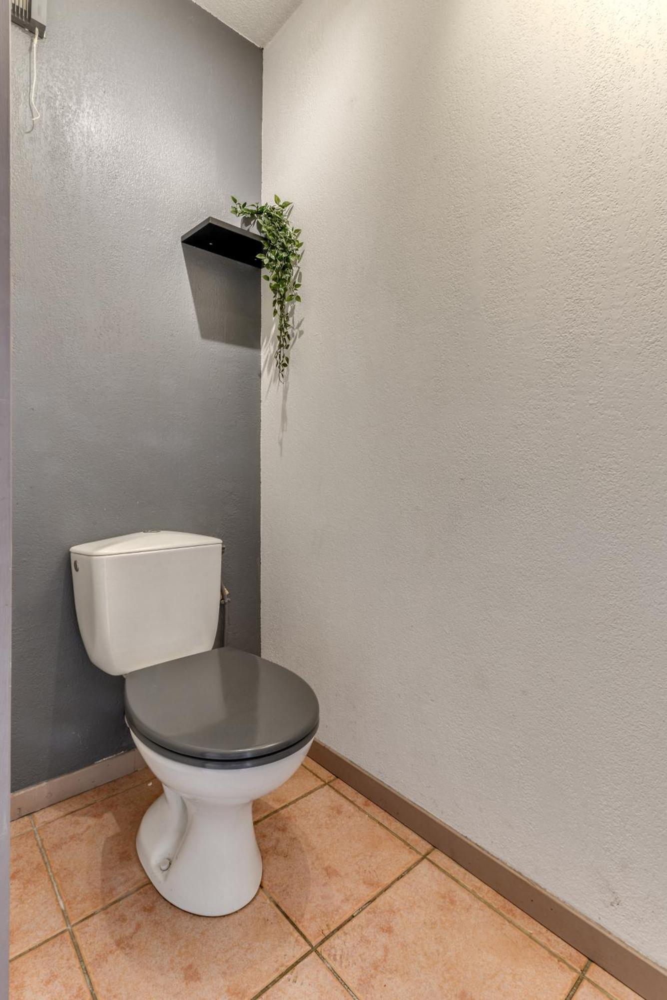 L'Ecrin Jardin Des Remparts - Parking Prive - Terrasse Apartment Carcassonne Ngoại thất bức ảnh